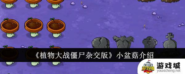 《植物大战僵尸杂交版》小盆菇攻略