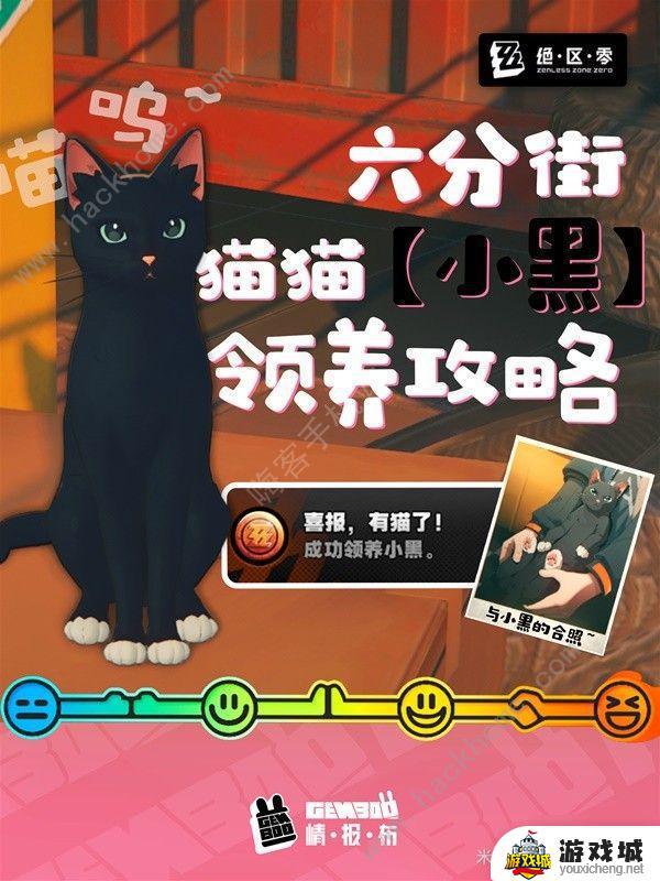 六分街小黑猫怎么收养