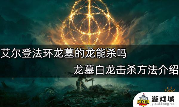 艾尔登法环弃置棺材白龙怎么击杀