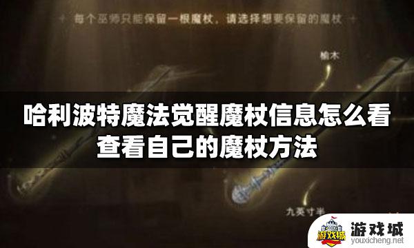 哈利波特魔法觉醒在哪里看自己的魔杖